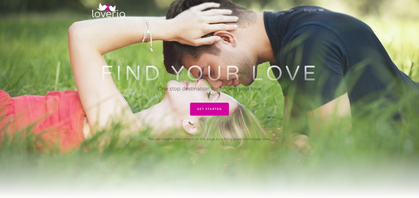 Dating website & Themes